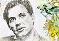 All Jobim - Free Music Radio